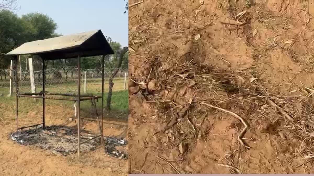 Jaipur News: पेट्रोल डालकर जिंदा जलाने की कोशिश, प्रेमी युगल 70% तक झुलसा, हालत गंभीर 2 Jaipur Petrol Attack