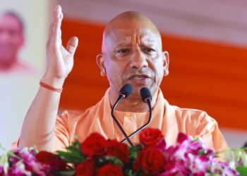 Yogi CM