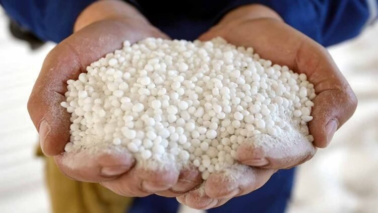 Faridabad से मिला 350 Kg Ammonium Nitrate तबाह कर सकता है 100 मीटर का इलाका, जानें कितना है खतरनाक 1 ammonium-nitrate