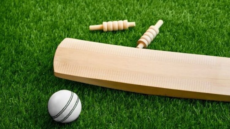 cricket-set-bat-ball-stumps-and-bails