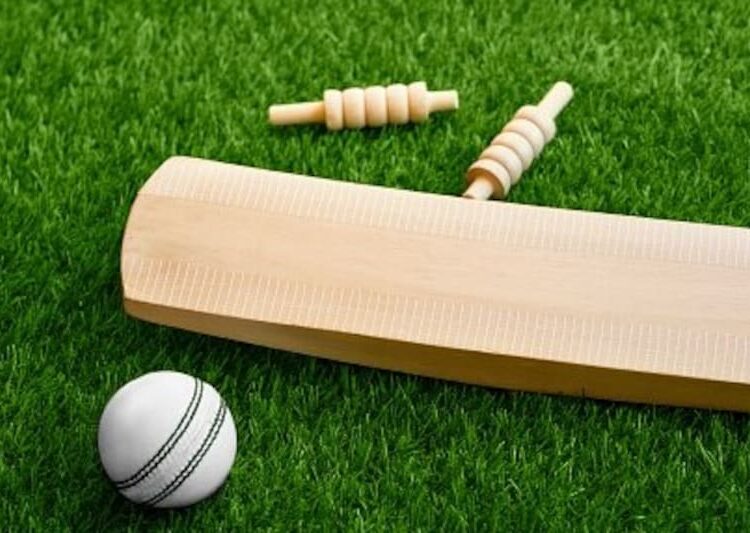 cricket-set-bat-ball-stumps-and-bails