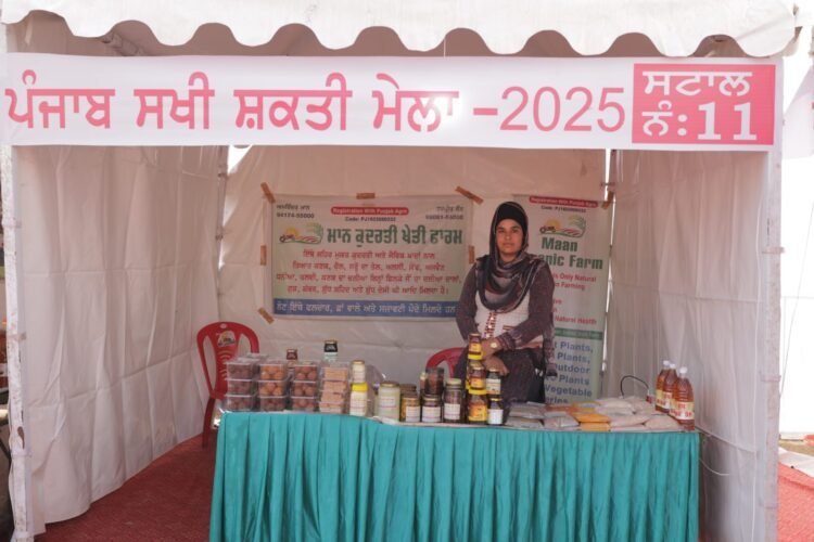 महिला सशक्तिकरण की पहल: राज्य के हर जिले में लगेंगे 'पंजाब सखी शक्ति मेले' 1 mela