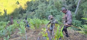 **Arunachal Pradesh Accident: खाई में गिरा मजदूरों से भरा ट्रक, 20 से ज्यादा की मौत** अरुणाचल प्रदेश में चीन सीमा के पास हुए भीषण सड़क हादसे में असम के कई परिवारों के चिराग बुझ गए। **Arunachal Pradesh Truck Accident** से जुड़ी एक बेहद दर्दनाक और दिल दहला देने वाली खबर सामने आई है। अरुणाचल की दुर्गम पहाड़ियों में मजदूरों से भरा एक **Truck** गहरी खाई में जा गिरा, जिससे 20 से ज्यादा लोगों की मौत की आशंका जताई जा रही है। यह हादसा इतना भयानक था कि खबर मिलने तक कई जिंदगियां खामोश हो चुकी थीं। ##### **तीन दिन बाद पहुंची हादसे की खबर** यह ह्रदयविदारक घटना 8 दिसंबर की रात को ही घट चुकी थी, लेकिन दुनिया को इसका पता बुधवार की शाम को चला। हादसे वाली जगह चीन **Border** के पास 'चाक लगाम' इलाके में है, जो बेहद दूरदराज का क्षेत्र है। वहां **Network Connectivity** की भारी कमी और खराब सड़कों की वजह से अधिकारियों तक सूचना पहुंचने में करीब दो दिन लग गए। यह देरी ही अपने आप में बता रही है कि वहां हालात कितने मुश्किल रहे होंगे। ##### **खतरनाक मोड़ पर बिगड़ा संतुलन** अरुणाचल प्रदेश के 'अजौ' जिले में यह हादसा उस वक्त हुआ जब असम के तिनसुकिया जिले से आए दिहाड़ी मजदूरों को ले जा रहा एक वाहन वहां से गुजर रहा था। जिले के **Deputy Commissioner** मिलो कोचिन ने पुष्टि की है कि हादसा एक बेहद खतरनाक पहाड़ी मोड़ पर हुआ। सड़क काफी संकरी थी और ढलान बहुत तेज थी। अचानक **Truck** का संतुलन बिगड़ा और वह सीधे गहरी खाई में जा समाया। ##### **खाई में बिखरे मिले शव** हादसे की भयावहता का अंदाजा इसी बात से लगाया जा सकता है कि **Truck** पूरी तरह क्षतिग्रस्त हो चुका है। स्थानीय अधिकारियों के मुताबिक, कई मजदूरों के शव खाई के अलग-अलग हिस्सों में पड़े मिले। **Truck** में 20 से ज्यादा मजदूर सवार थे और आशंका है कि इन सभी की जान जा चुकी है। अब तक 10 से ज्यादा शव बरामद किए जाने की खबर है। प्रशासन ने तुरंत **Rescue** और राहत कार्य शुरू कर दिया, जिसमें पुलिस, आपदा प्रबंधन और सेना की टीमों के साथ-साथ स्थानीय ग्रामीणों ने भी मदद की। खाई गहरी होने की वजह से **Rescue Team** को नीचे उतरने में काफी मशक्कत करनी पड़ी। ##### **रोजी-रोटी की तलाश में गई जान** यह हादसा उन मजदूरों के परिवारों के लिए एक कभी न भरने वाला घाव दे गया है जो अपने घर से दूर दो वक्त की रोटी कमाने निकले थे। ये सभी मजदूर **Border Road** निर्माण कार्य के लिए जा रहे थे। इस इलाके की भौगोलिक स्थितियां काफी कठिन हैं और मजदूरों को रोजाना ऐसे ही खतरनाक रास्तों से गुजरना पड़ता है, जहां खराब मौसम और भूस्खलन का खतरा हमेशा बना रहता है। ##### **जानें पूरा मामला** घटना के बाद प्रशासन ने जांच के आदेश दे दिए हैं। यह पता लगाने की कोशिश की जा रही है कि क्या **Truck** की रफ्तार ज्यादा थी या फिर सड़क की खस्ता हालत इस त्रासदी की वजह बनी। प्रशासन ने पीड़ित परिवारों से संपर्क कर उन्हें हर संभव मदद का भरोसा दिया है। इंडो-चाइना **Border** सड़क प्रोजेक्ट पर काम करने वाले इन मजदूरों की सुरक्षा को लेकर यह हादसा कई सवाल भी खड़े करता है। ##### **मुख्य बातें (Key Points)** * अरुणाचल प्रदेश के अजौ जिले में खाई में गिरा मजदूरों से भरा **Truck**। * असम के तिनसुकिया से आए 20 से ज्यादा मजदूरों की मौत की आशंका। * हादसा 8 दिसंबर की रात हुआ, लेकिन **Network** न होने से खबर बुधवार को मिली। * **Border Road** के निर्माण कार्य के लिए जा रहे थे सभी मजदूर। **SEO Keywords:** Arunachal Pradesh truck accident, Anjaw district road crash, Assam laborers death news, India China border road accident, Chaklagam accident news.