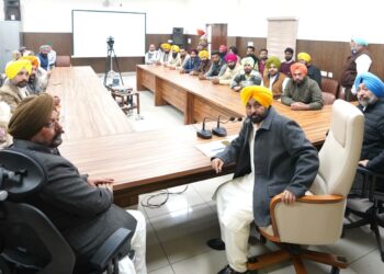 CM Punjab