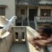 कबूतर पकड़ने के चक्कर में खौफनाक हादसा, 6 साल का बच्चा गिरा! 13 Child Falls From Building