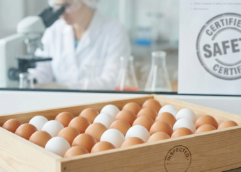 Egg Cancer Risk
