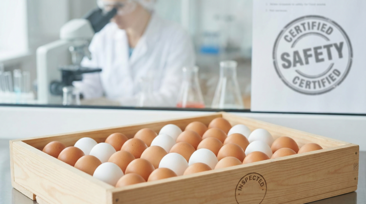 Egg Cancer Risk Update: क्या अंडा खाने से होता है कैंसर? FSSAI ने बताई असली सच्चाई 1 Egg Cancer Risk