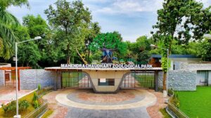 Forest & Wildlife Preservation Department