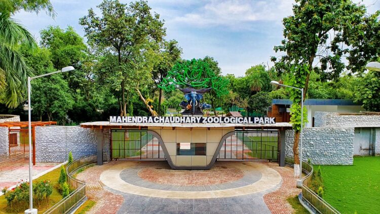 Forest & Wildlife Preservation Department