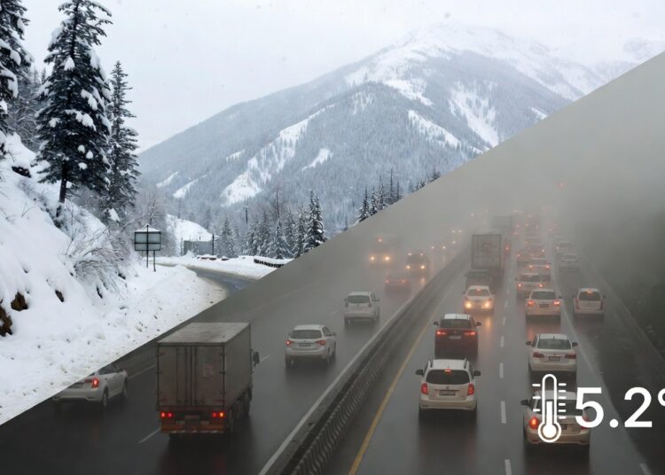 North India Cold Wave