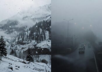 North India Cold Wave Alert
