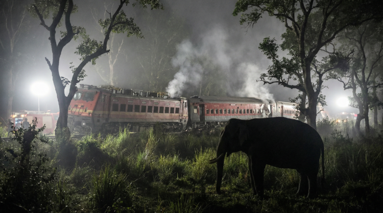 Rajdhani Express Elephant Accident