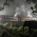 Rajdhani Express Elephant Accident