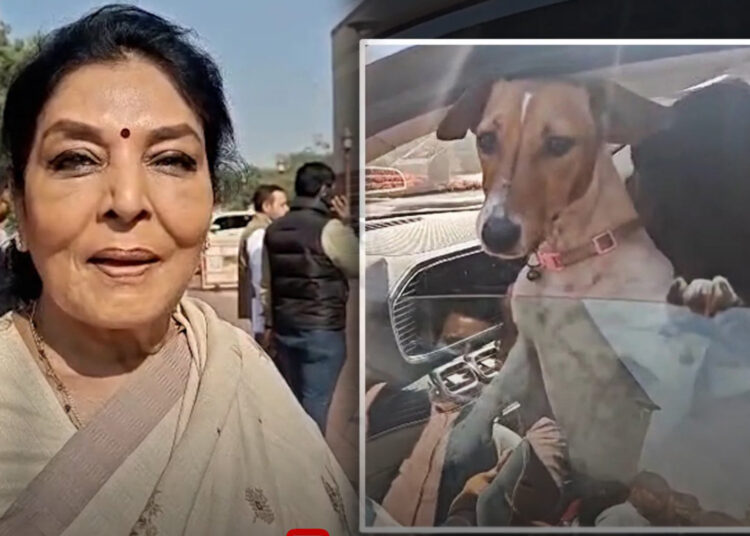Renuka Chowdhury Dog Controversy