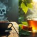 हर रोज पीते हैं Tea तो हो जाएं सावधान, यह 'जहर' बना रहा आपको बीमार 12 Tea