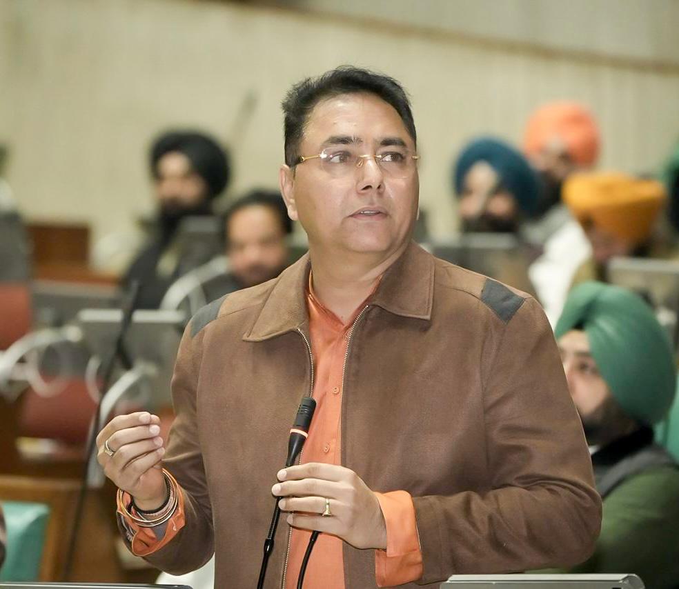 Viksit Bharat–Ji Ram Ji: ‘गरीबों के साथ भद्दा मज़ाक’ Aman Arora का केंद्र पर तीखा हमला 13 Viksit Bharat–Ji Ram Ji