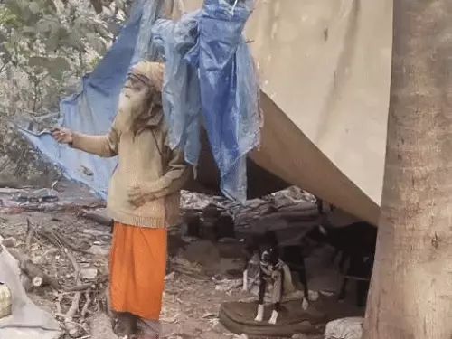 20 खूंखार कुत्तों का पहरा, पुलिस ने लगाई आग, Chandigarh Snatchers News 3 Chandigarh Snatchers