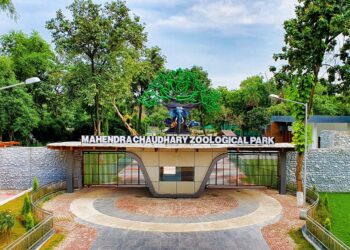 Chhatbir Zoo