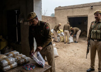 Drug Free Punjab Drive