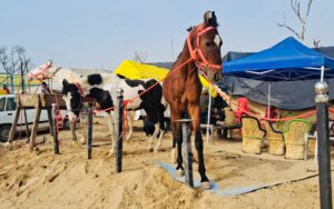 Maghi Mela 2026