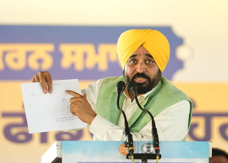 Firozepur Feeder Canal Renovation