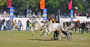 Kila Raipur Rural Olympics
