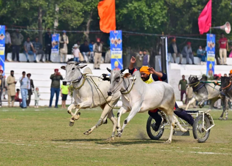 Kila Raipur Rural Olympics