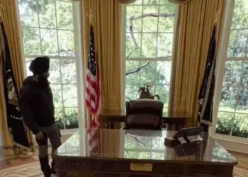 Navdeep Travel Blogger Trump Chair