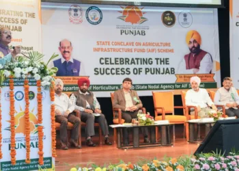 Agriculture Infrastructure Fund Punjab