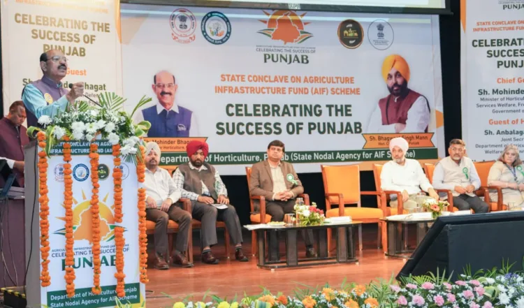 Agriculture Infrastructure Fund Punjab