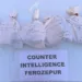 Fazilka Heroin Seized: सरहद पार से 6.5 किलो हेरोइन की तस्करी नाकाम, BSF ने चलाई गोलियां 12 Fazilka Heroin Seized