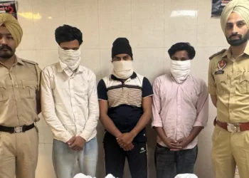 Mule Account Gang Busted