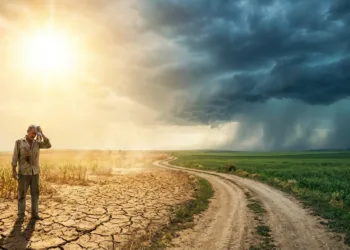UP Monsoon 2026