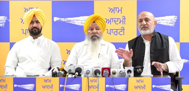 Punjab Wheat Procurement 2026