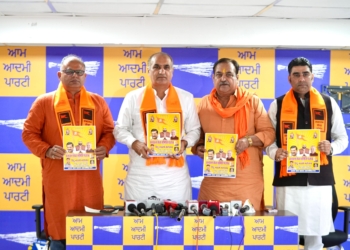 Hindu Nav Varsh Mahotsav
