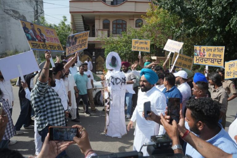 Punjab AAP Protest