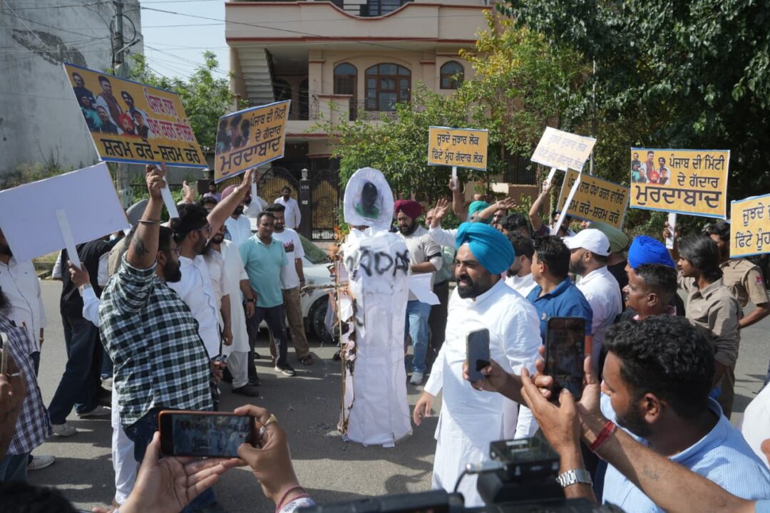 Punjab AAP Protest