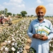 Punjab Cotton Subsidy 2026