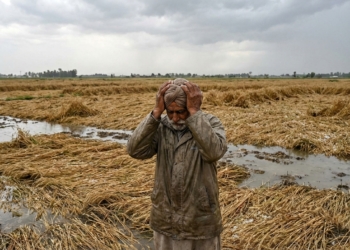 Punjab Rainfall