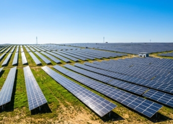 Waaree Renewable