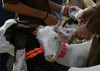 Delhi Bakrid Guidelines