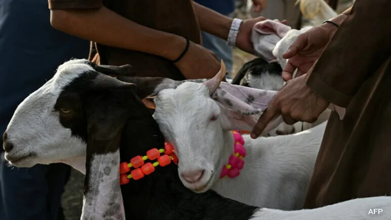 Delhi Bakrid Guidelines: सड़कों पर कुर्बानी पर रोक, 8 सख्त नियम जारी 7 Delhi Bakrid Guidelines