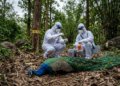 H5N1 Virus Karnataka