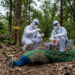 H5N1 Virus Karnataka