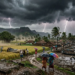 IMD Weather Alert