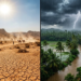 IMD Weather Forecast