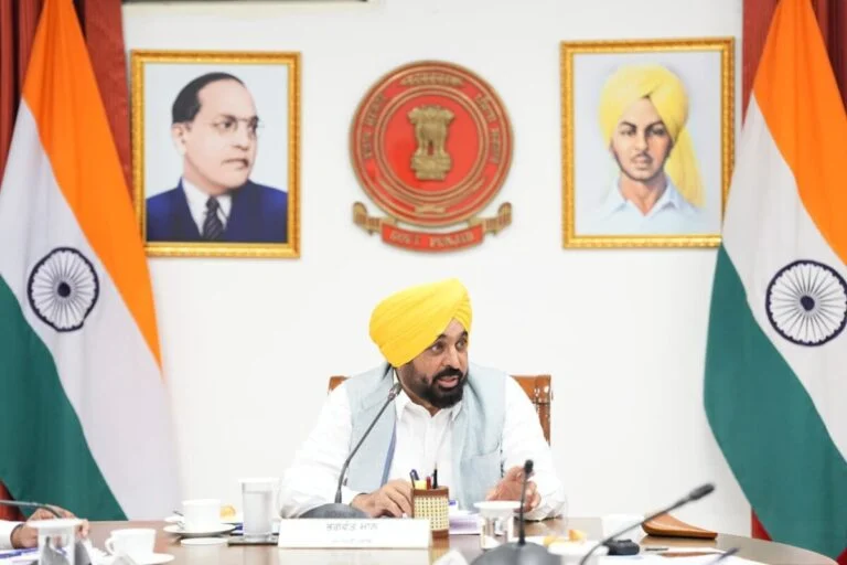 Punjab Contract Employees