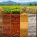 भारत में मिट्टी के Types of Soil in India: जानें पूरी जानकारी 14 Types of Soil in India