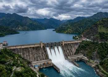 Bhakra Dam Water Level