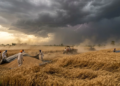 Punjab Weather Alert: कल प्रदेश में तेज आंधी-तूफान का अलर्ट 2 Punjab Weather Alert